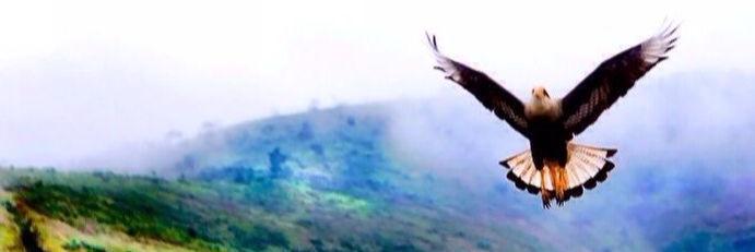 claracosta6's profile banner image