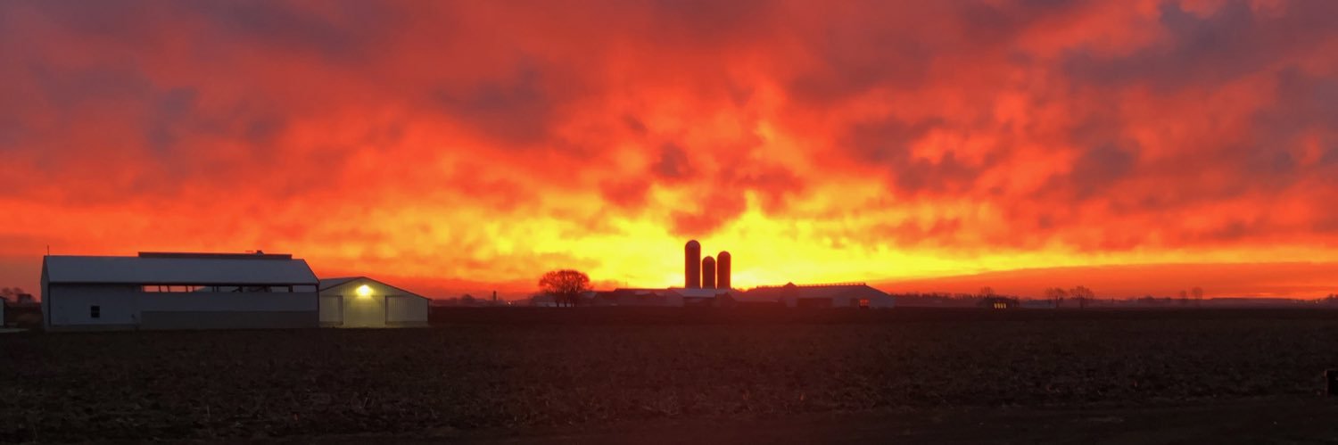 Sara Harlamert banner