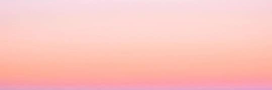 Ally Speelman banner