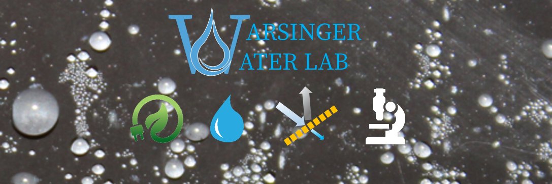 David Warsinger banner