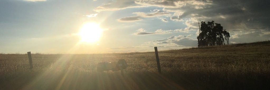 Kristi Anglin banner