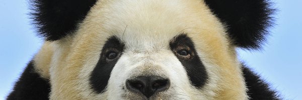BrandonNagle's profile banner image