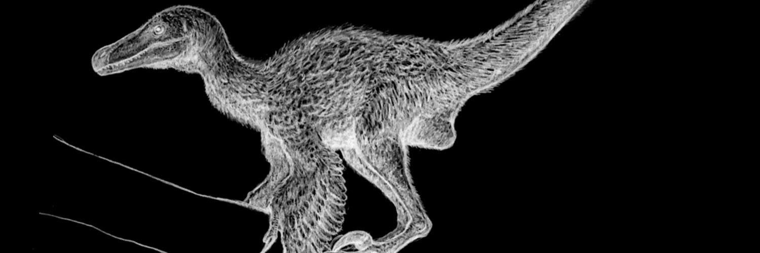 Maleev1955's profile banner image
