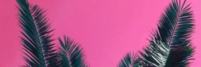 aaallyc's profile banner image
