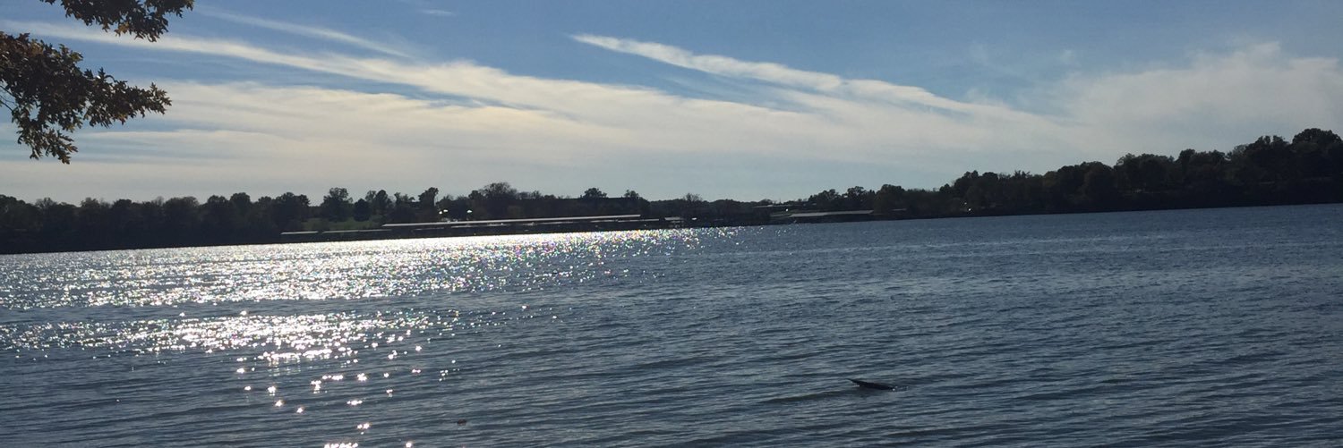 toryroberts's profile banner image