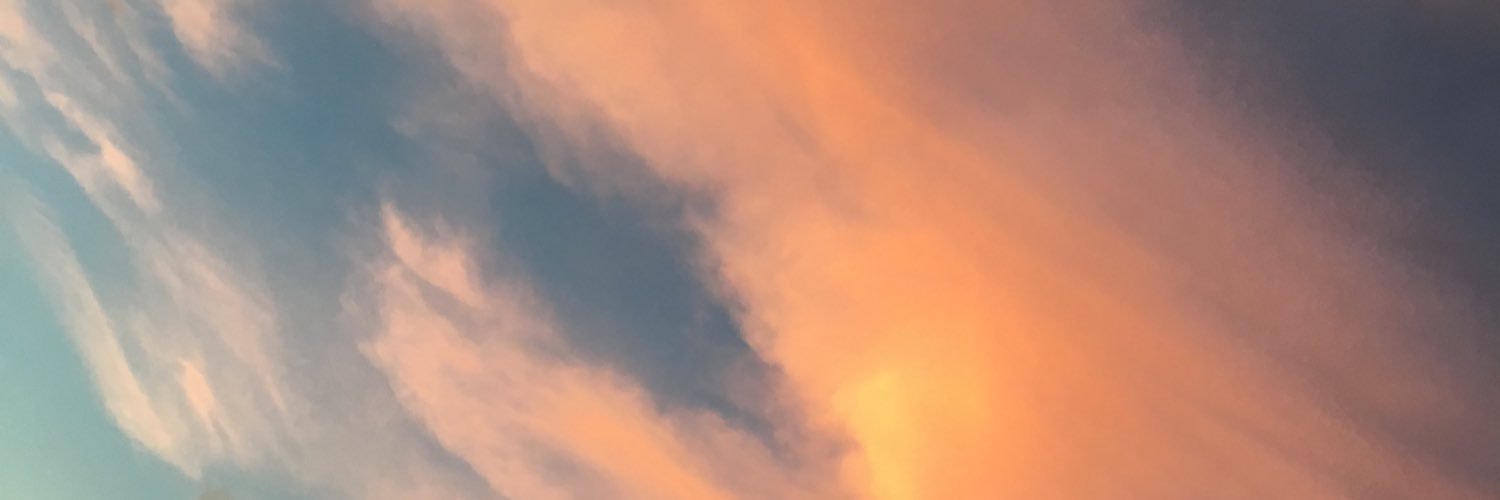 OfficialHailey's profile banner image