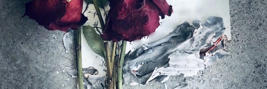 Lexiy💕 banner