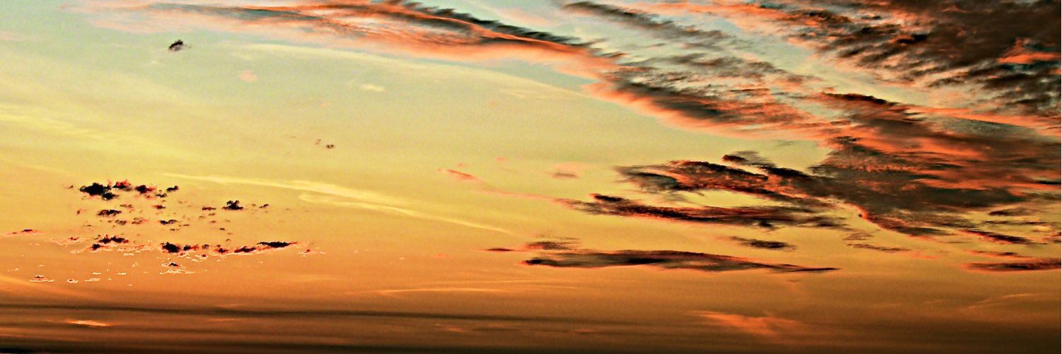 debwills58's profile banner image