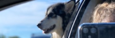 Ciao_belaa's profile banner image