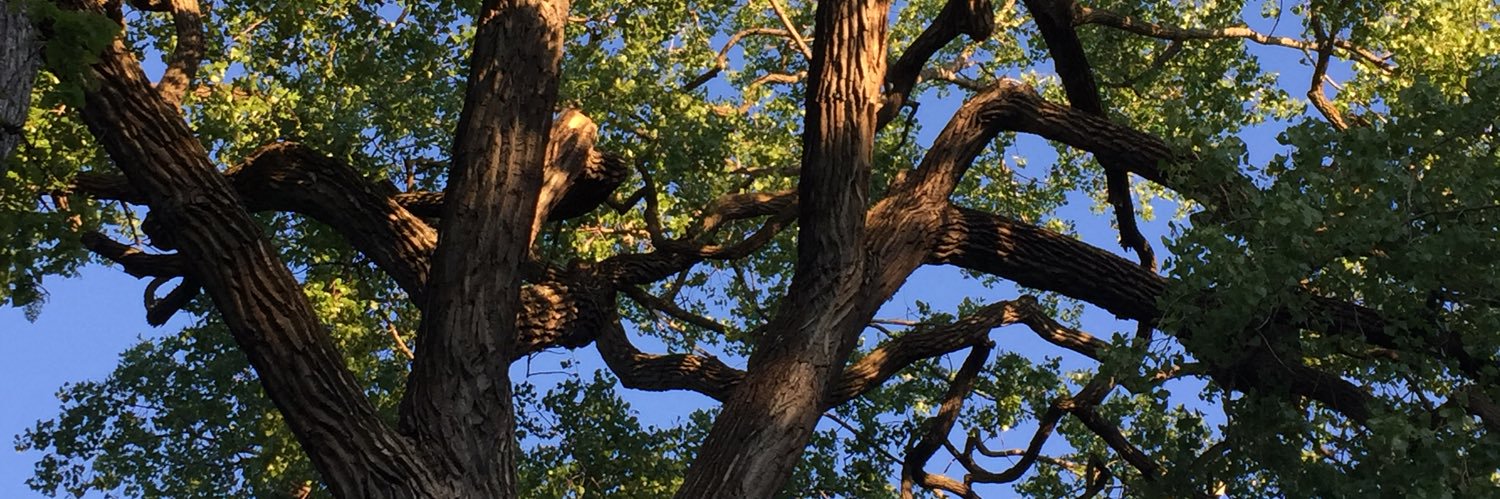 barbsamson23's profile banner image