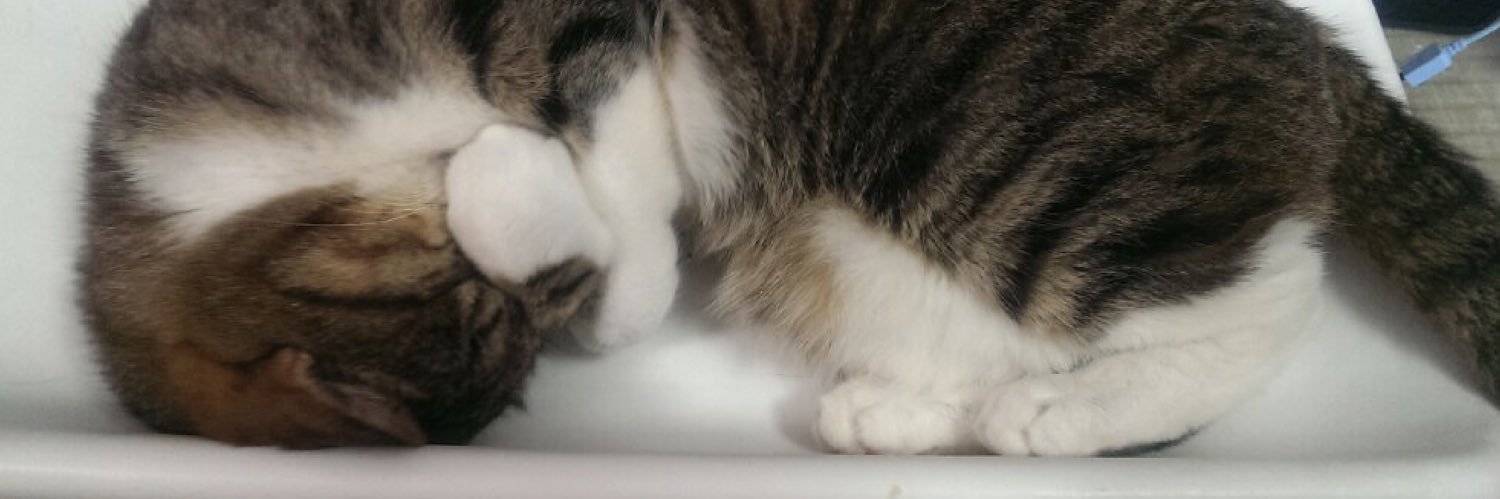 HappyCat222's profile banner image
