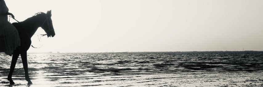 ReemAlmutari's profile banner image