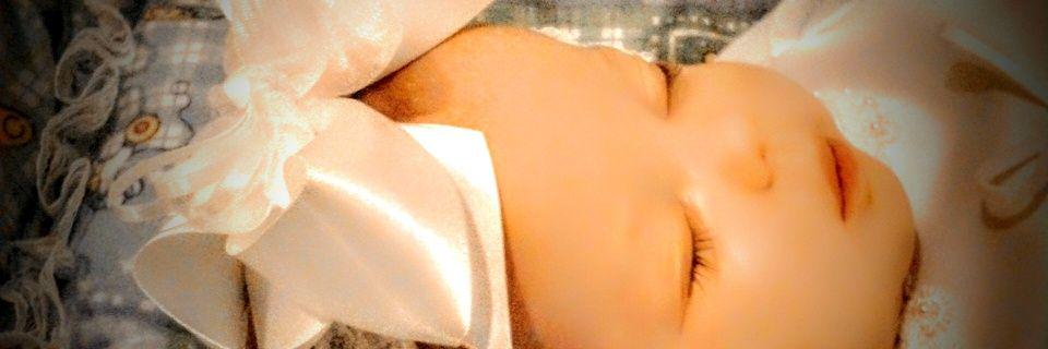 Catherine Steen banner
