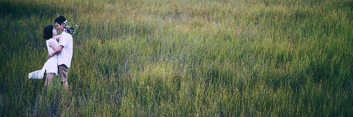 daniela bogado banner