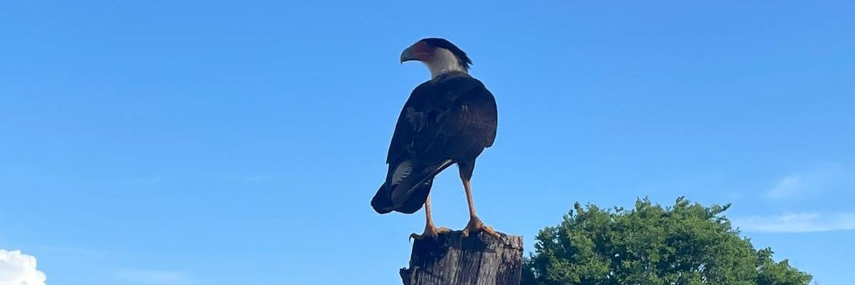 gabrielasroman's profile banner image