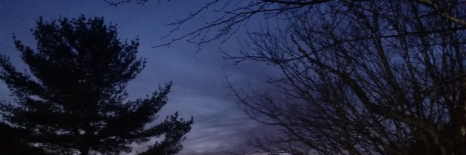Wishpunk81's profile banner image