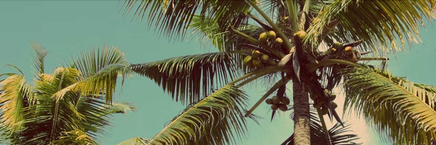 OceanBloom's profile banner image
