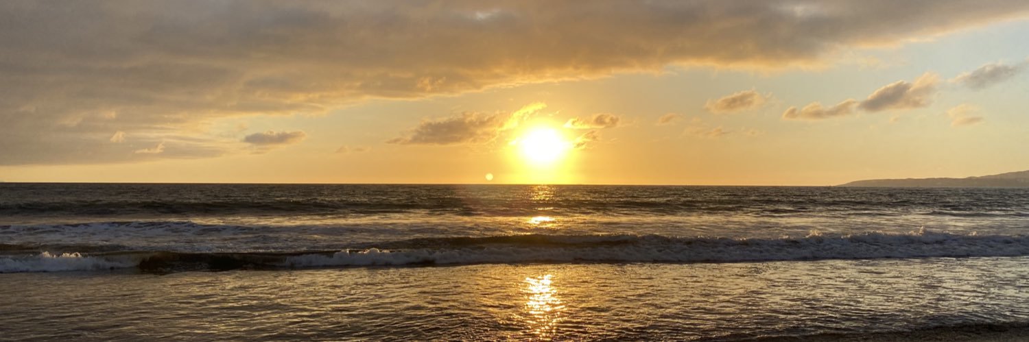 Melissa Tucker banner