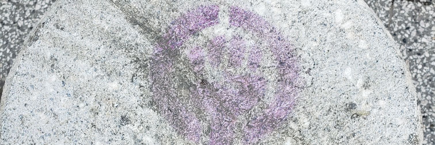 María Julia Castañeda banner