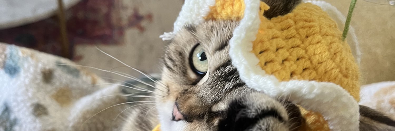 _rayrayyyyy's profile banner image