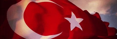 SadeceElif's profile banner image