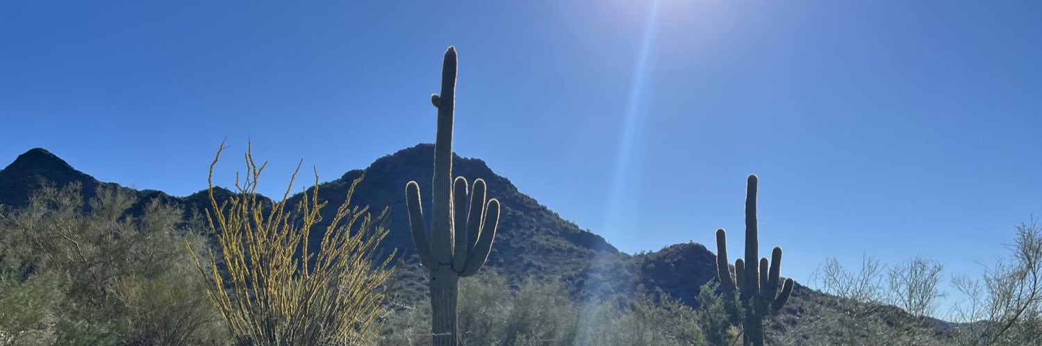 TorreNoel's profile banner image