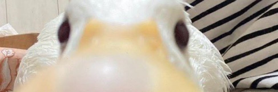 3manuelCan2's profile banner image