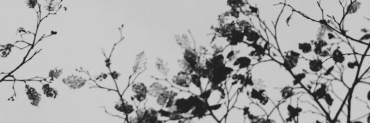 FaHaD_11771's profile banner image