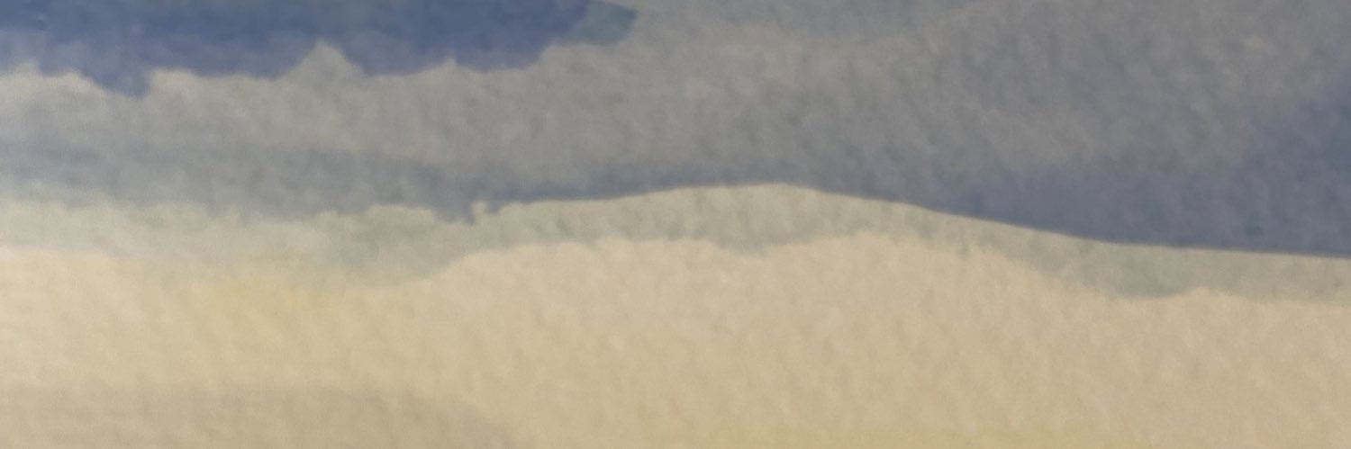 Michelle Constant banner