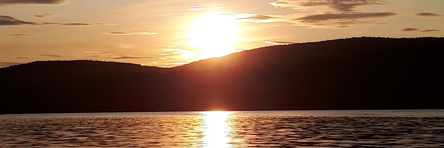 Isabelle C-Dubois banner