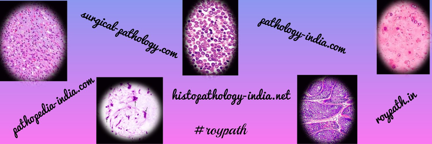 DrSampyRoy's profile banner image