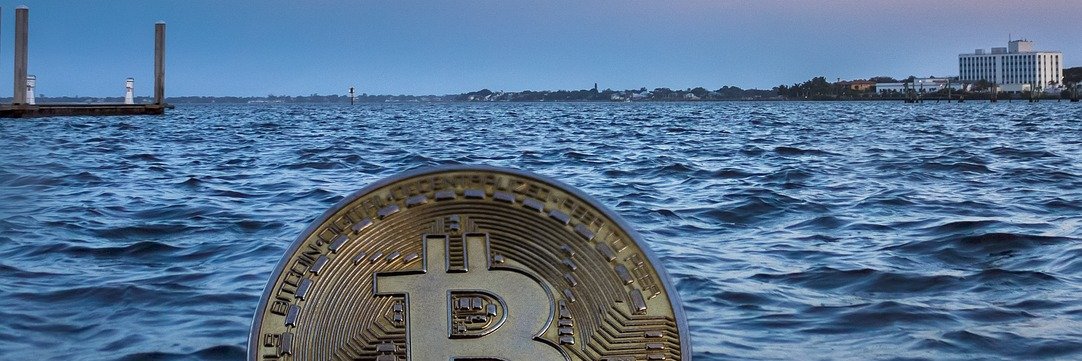 GaryNFT133's profile banner image