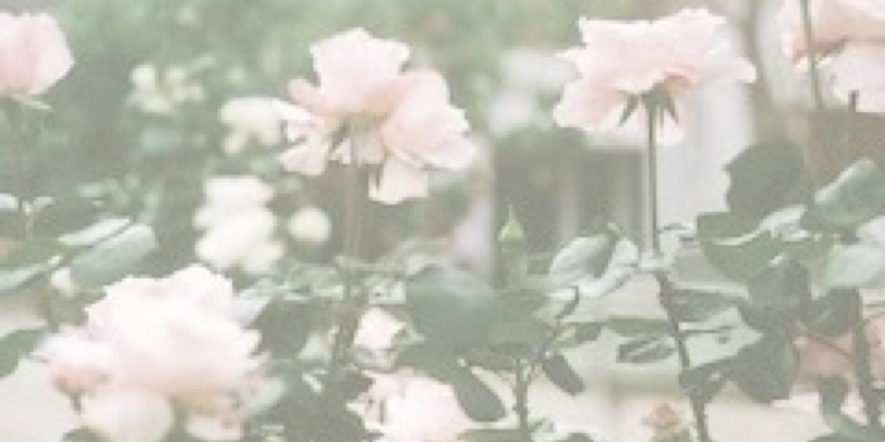 heybrey's profile banner image