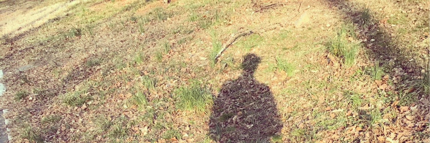 mikeyi99's profile banner image