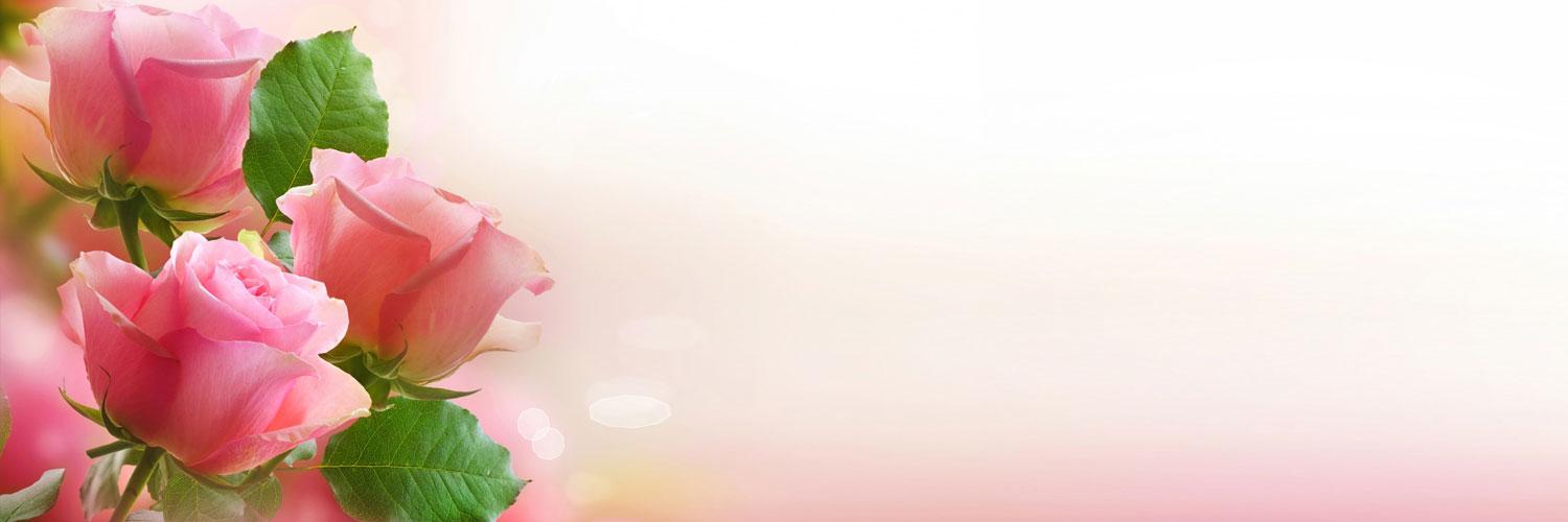 NagimaSaS's profile banner image