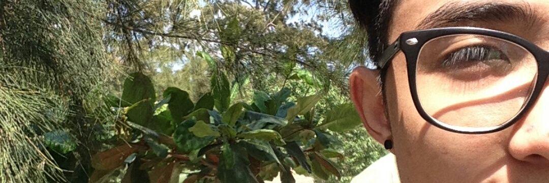 jkstodomingo's profile banner image