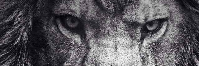 sonny_the_one's profile banner image
