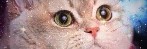 Micah Carlson banner