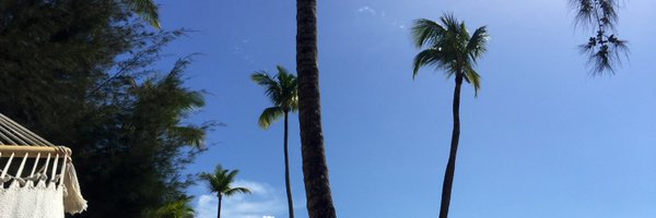 iamRLFord Profile Banner