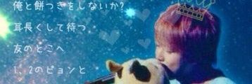 cibi_o's profile banner image