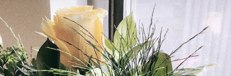 jordyn1237's profile banner image