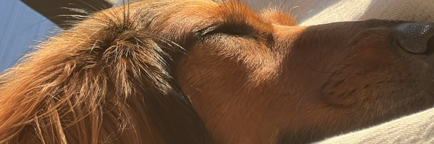 rpkwa's profile banner image