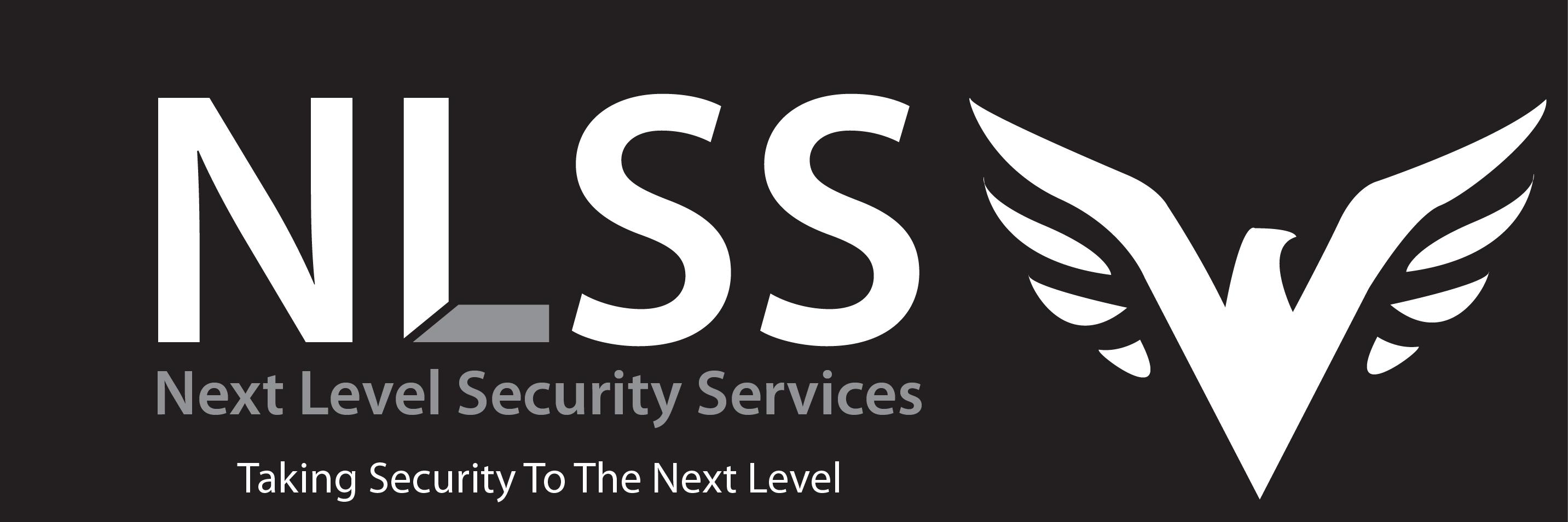 next_level_sec's profile banner image