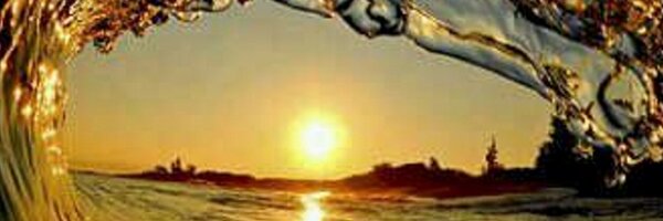 hamedomar4 Profile Banner