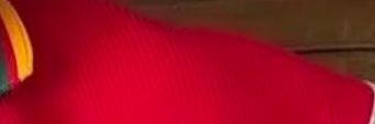 nipgco's profile banner image