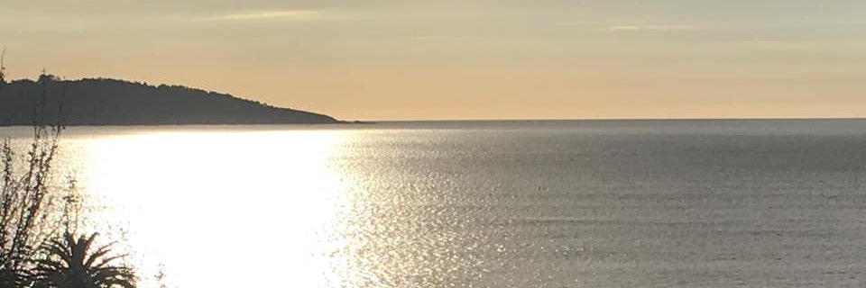 uxioal's profile banner image