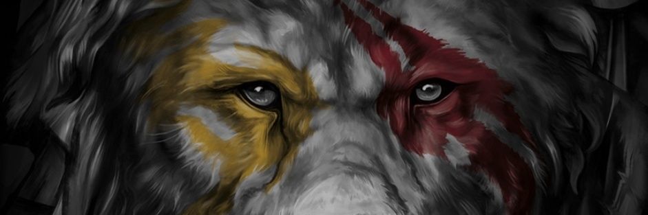 t40efsane's profile banner image