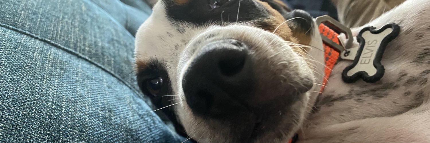ed_sofla's profile banner image