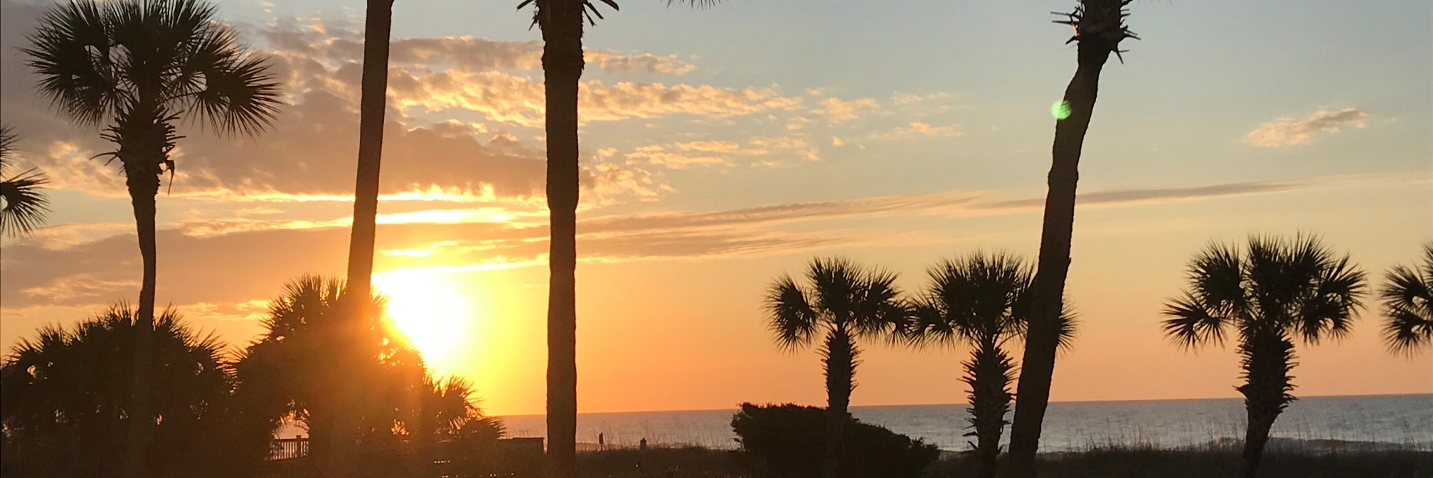 MODonnell19's profile banner image