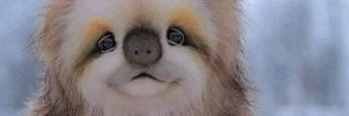 Rutrow72's profile banner image